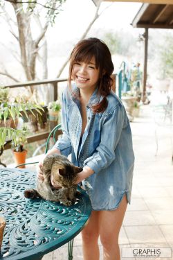 紫禁惊雷演员表